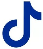 icon tiktok